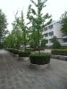浙江大学紫金港校区
