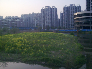 紫金港