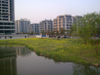 紫金港