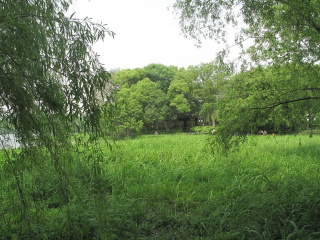 丁家山景区
