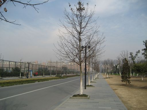 上学的路