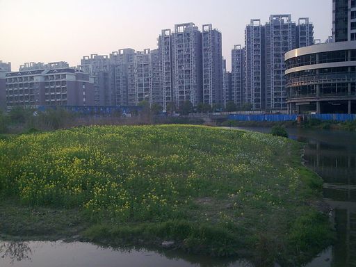 紫金港