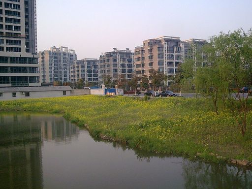 2010随行