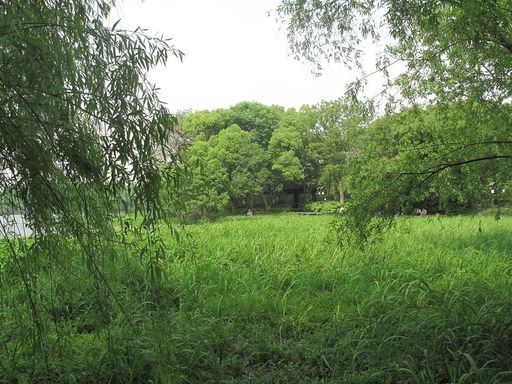丁家山景区