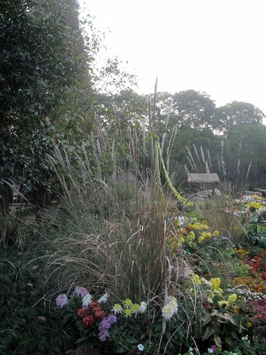 植物园
