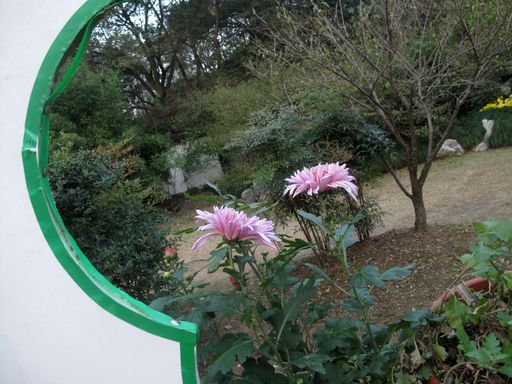植物园