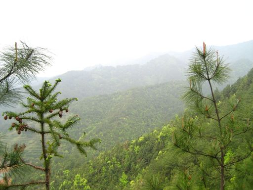 千岛湖