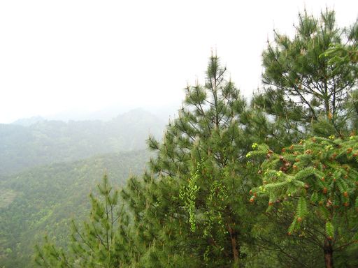 千岛湖