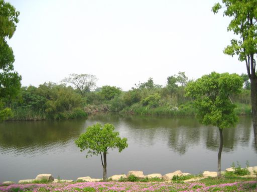 西溪湿地