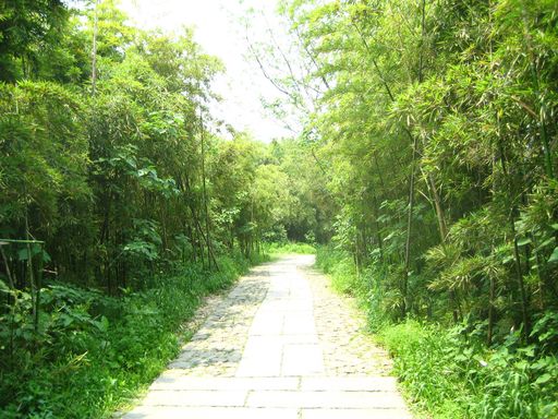 西溪湿地
