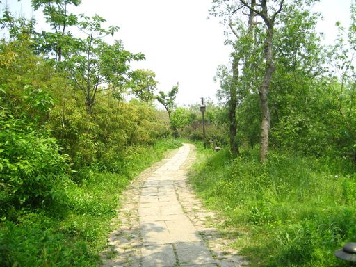 西溪湿地