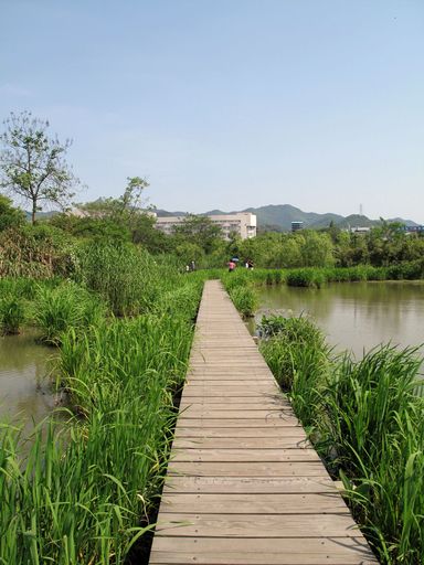 西溪湿地