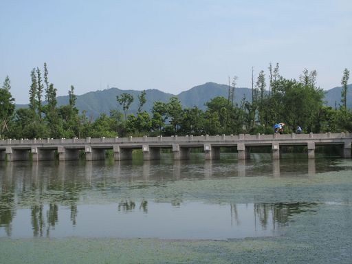 西溪湿地