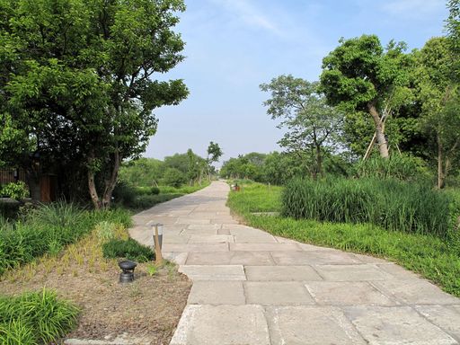 西溪湿地