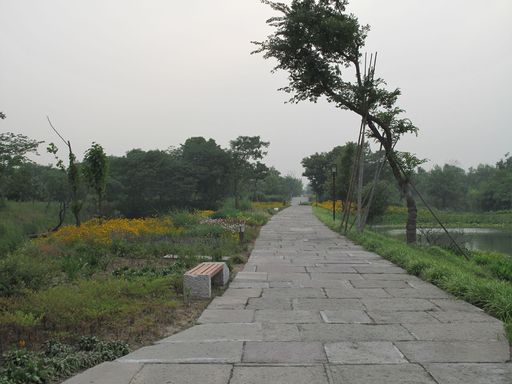 西溪湿地