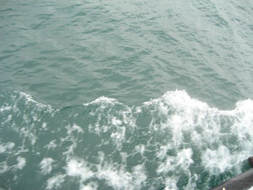20100618024815100