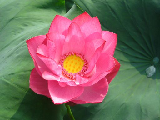 20100618025825101