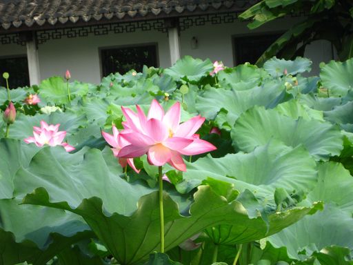 20100618025827100
