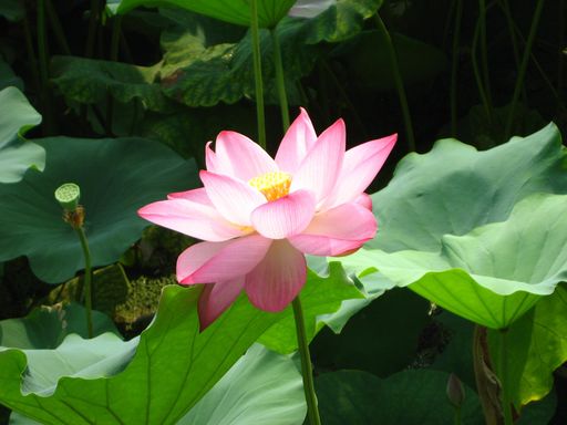 20100618025830100