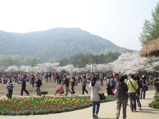 20100618034238100