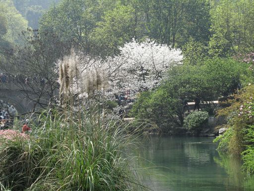 20100618034247100