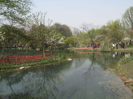 20100618034249100
