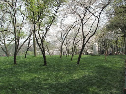 20100618034307100