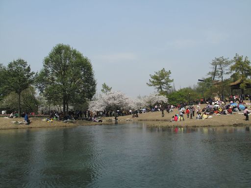 20100618034310100