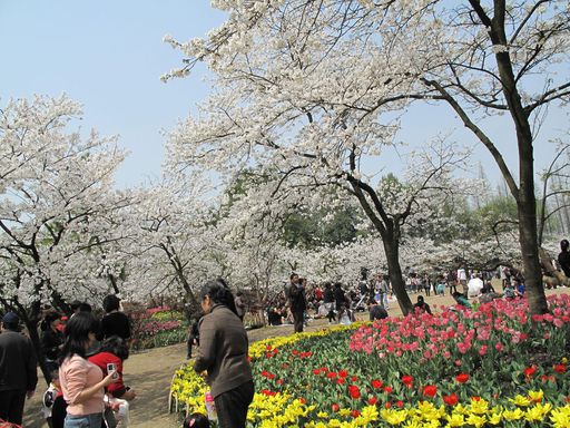 20100618034316100