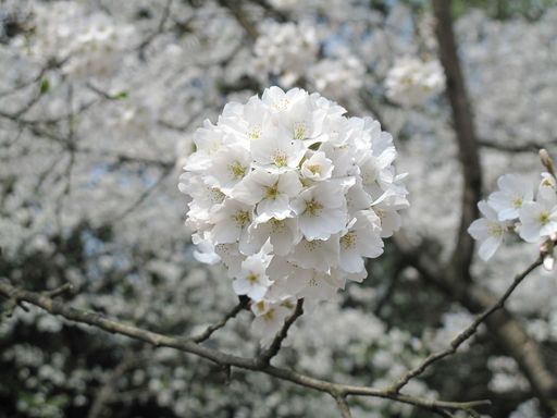 20100618034325100