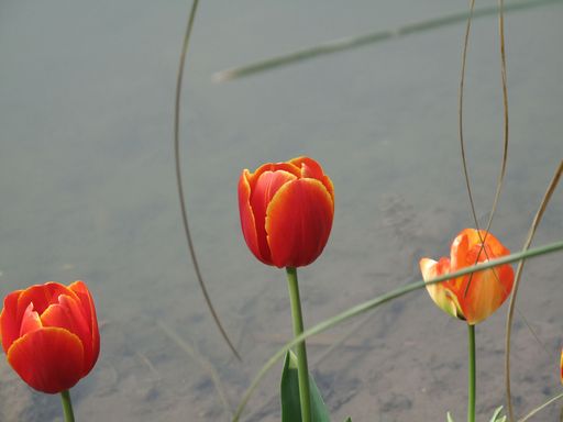 20100618034327100