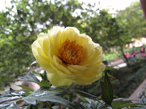 20100618041832100