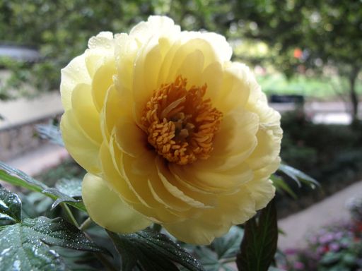 20100618041834100