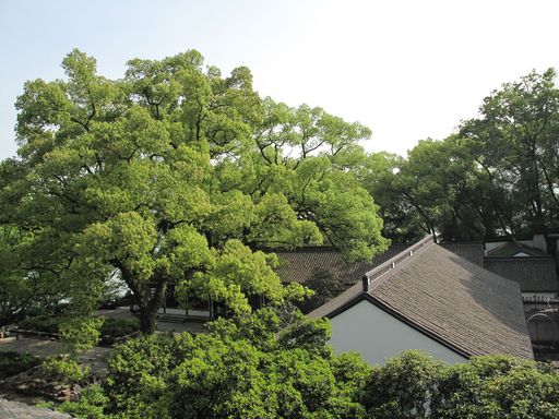 20100618041847101