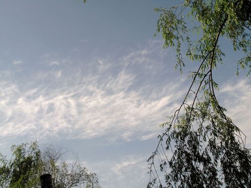 20100618042139100