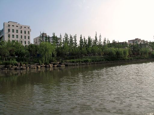 20100618042147101
