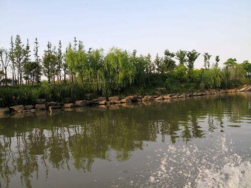 20100618042200101