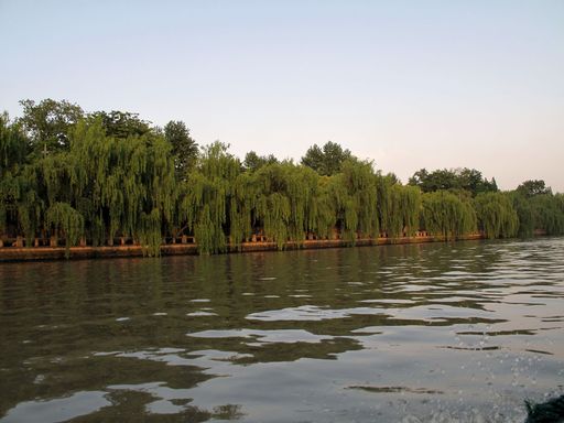 20100618042206101