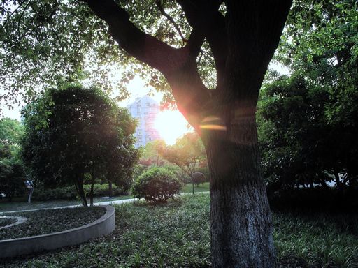20100618042207100