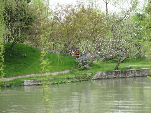 20100618050423100
