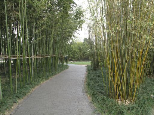 20100618050431100