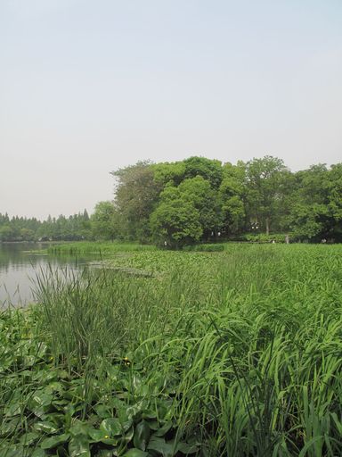 丁家山景区