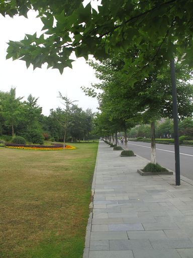 浙江大学紫金港校区