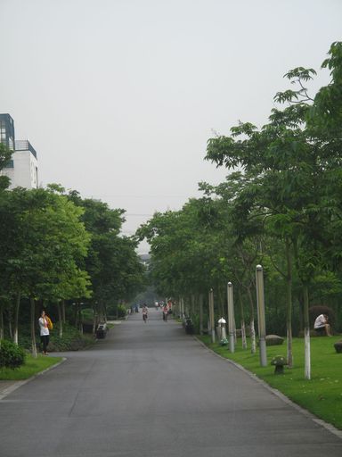 浙江大学紫金港校区