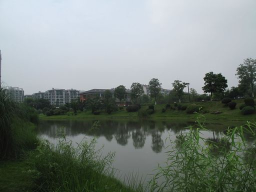 浙江大学紫金港校区