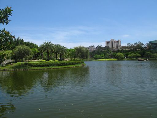 厦大