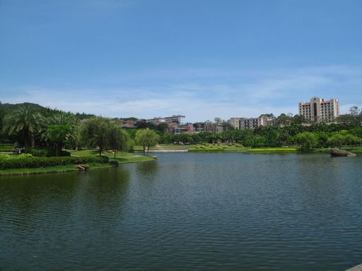厦大
