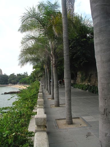 鼓浪屿