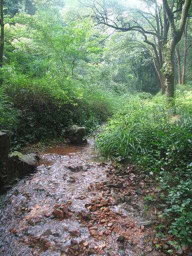 六和塔景区