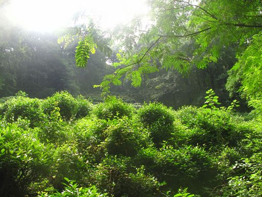六和塔景区